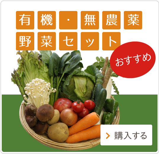 やさい工房 彩菜（ひみつのぼーろ） | いちき串木野市総合観光