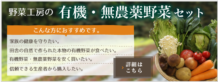 野菜工房の有機・無農薬野菜セット