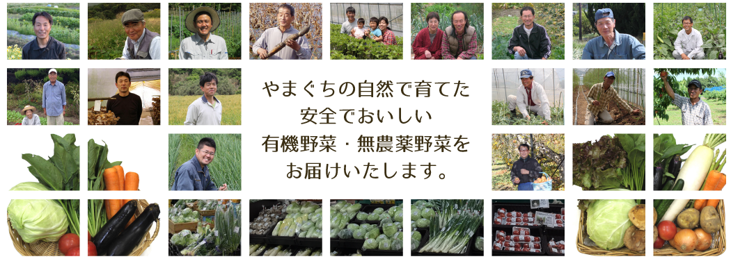 山口の自然で育てた安全でおいしい有機・無農薬野菜をお届けいたします。